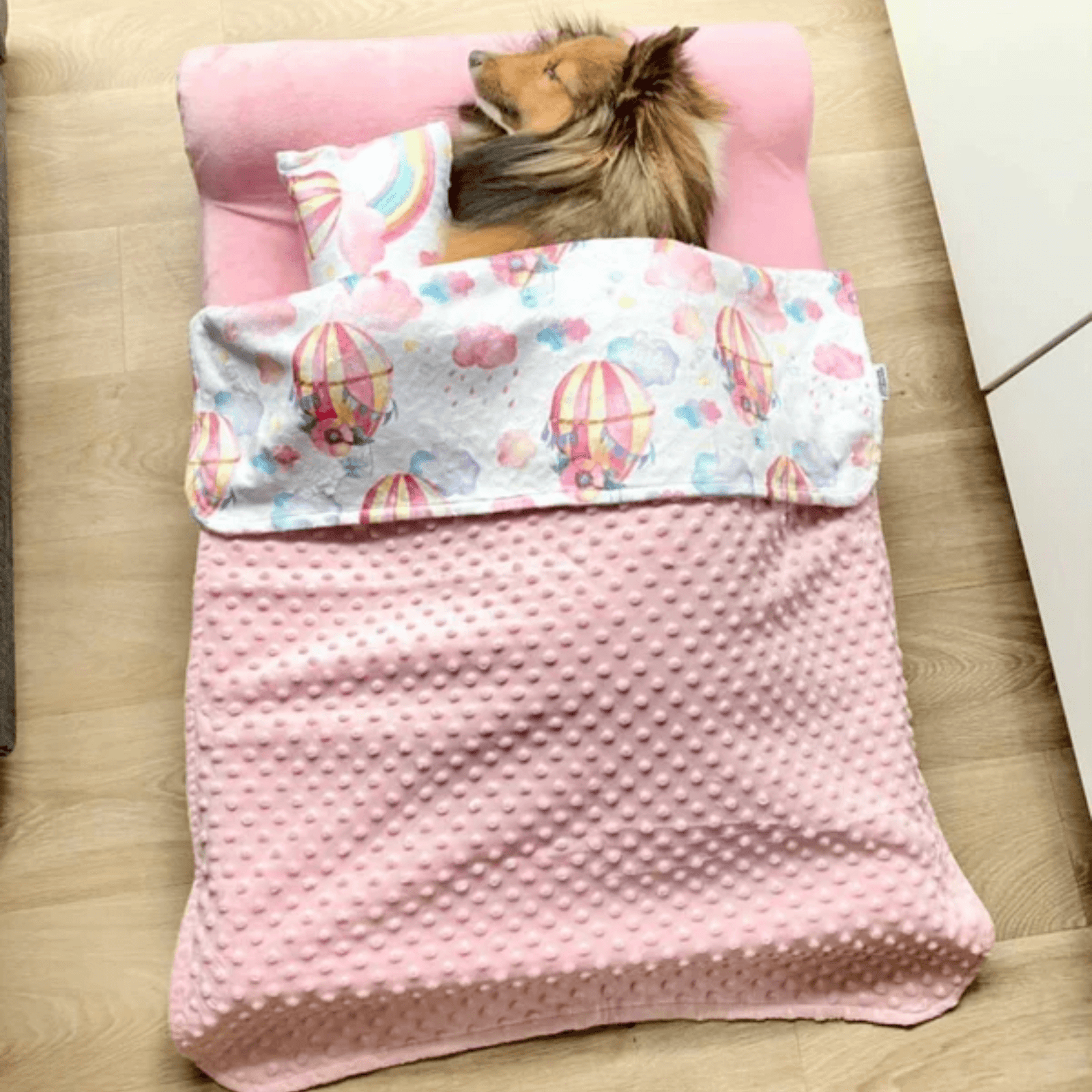 Dog blanket outlet and pillow set